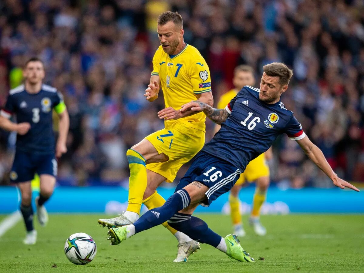 Сборная англии евро 2020. Футбольный матч шотландия - англия. Scotland v hungary december 1954 год. Шотландия и англия. Сборная шотландии.