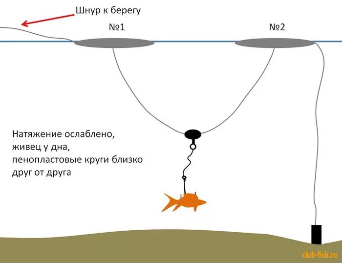 Ловля на живца на поплавочную удочку. Снасть для ловли на живца с поплавком. Живцовая донка оснастка. Приспособление для ловли щуки на живца. Поплавочная оснастка на щуку на живца.