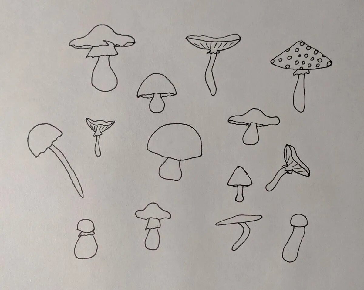 Грибы поэтапно. Рисование грибы. Грибы для срисовки. Рисунки для срисовки грибы. Рисунок гриба карандашом для срисовки.