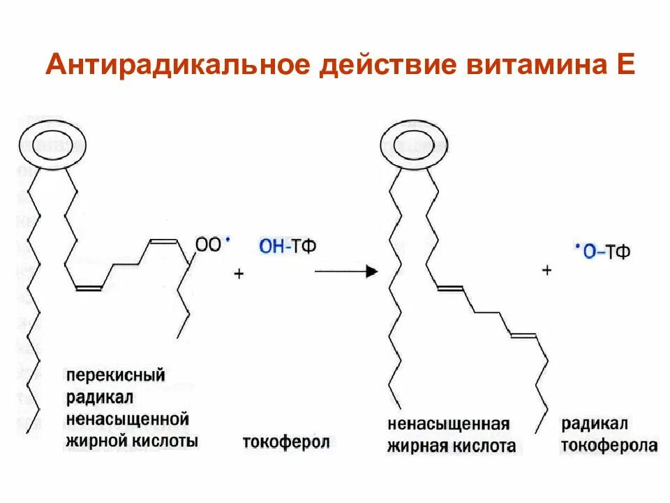 Механизм действия витамина е. Механизм антиоксидантного действия витамина е. Антирадикальный механизм действия витамина е. Схема антиоксидантного действия витамина е. Радикал жирной кислоты