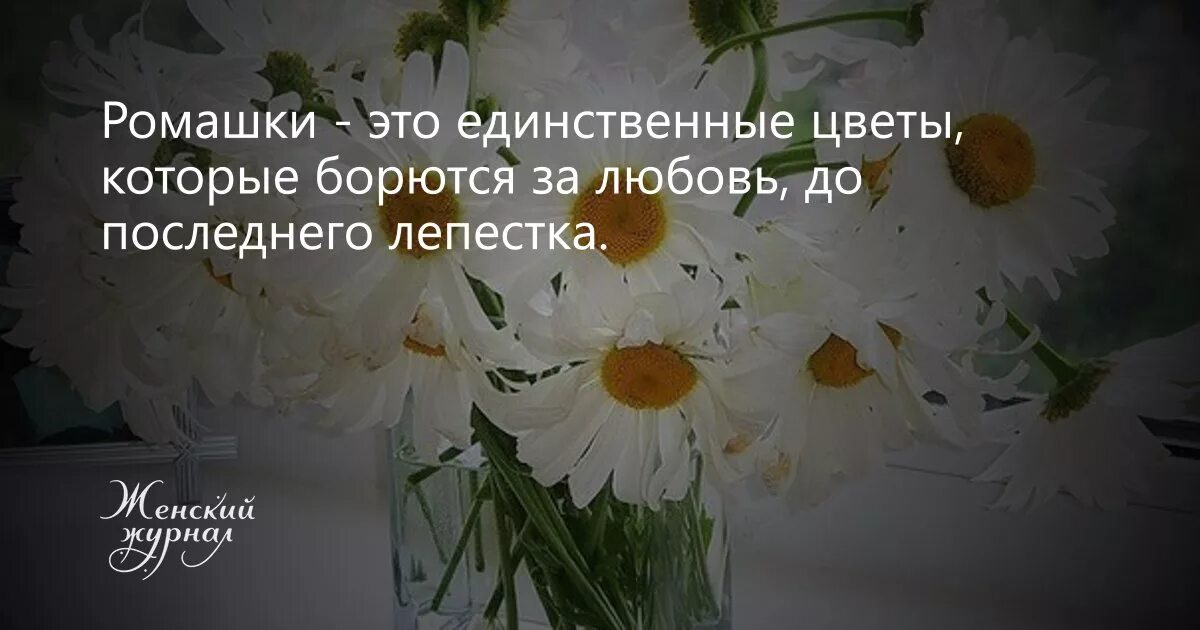 Статусы о цветах