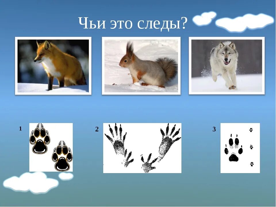 Чьи c