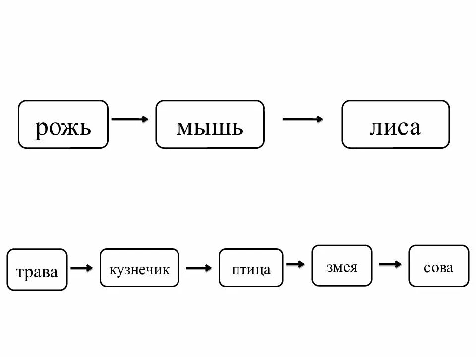 Определение правильно составленную пищевую цепь. Рожь мышь цепь питания. пищевая цепь рожь мышь змея орел. рожь мышь змея орел цепь питания правильная. пищевая цепочка орел лиса.