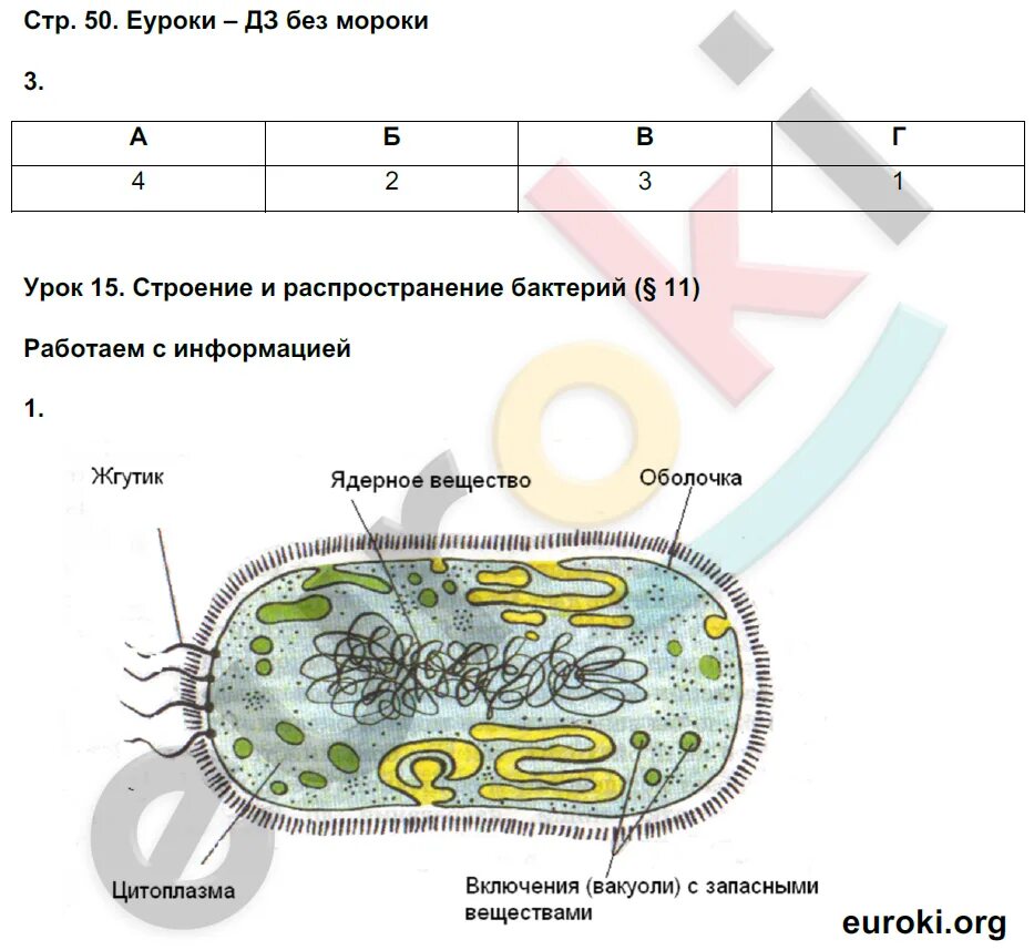 Биология 5 краткое содержание. Биология 5 класс параграф 11. Параграф по биологии 5 класс. Урок биологии 5 класс. Что проходят в 5 классе по биологии.