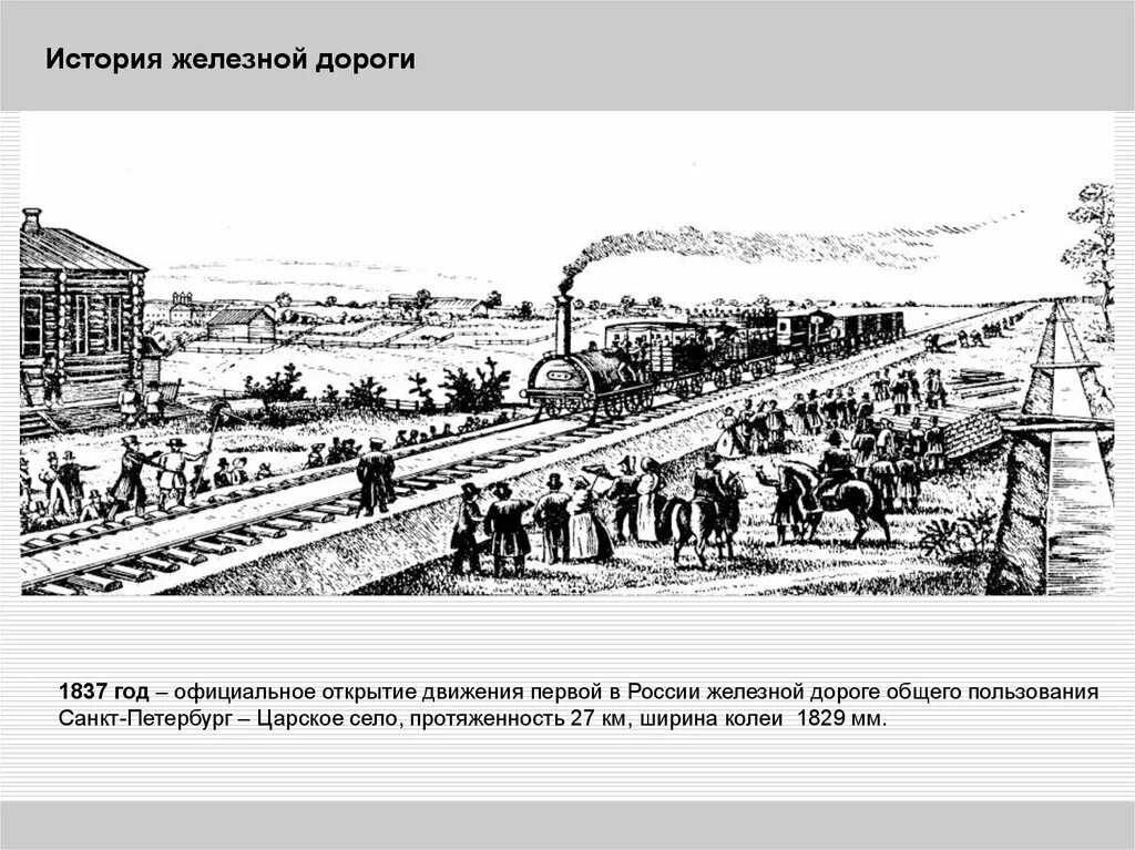 Исторический путь образования. Царскосельская железная дорога Некрасов. Царскосельская железная дорога открытие. Первые железные дороги в России. Первая железная дорога в России Царское село.