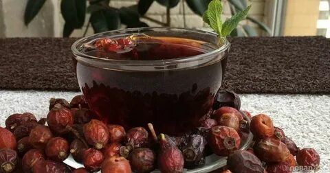 Шиповник в кастрюле