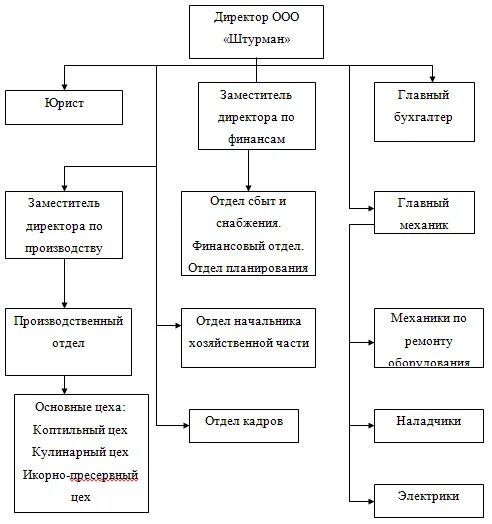Организация управления общества с ограниченной ответственностью. Организационная структура ооо вектор. организационная структура управления предприятием ооо &quot;диад&quot;. рисунок 1 – организационная структура управления. организационная структура мпк.