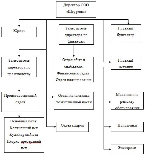 Организация управления общества с ограниченной ответственностью. Организационная структура ООО вектор. Организационная структура управления предприятием ООО "Диад". Рисунок 1 – организационная структура управления. Организационная структура МПК.