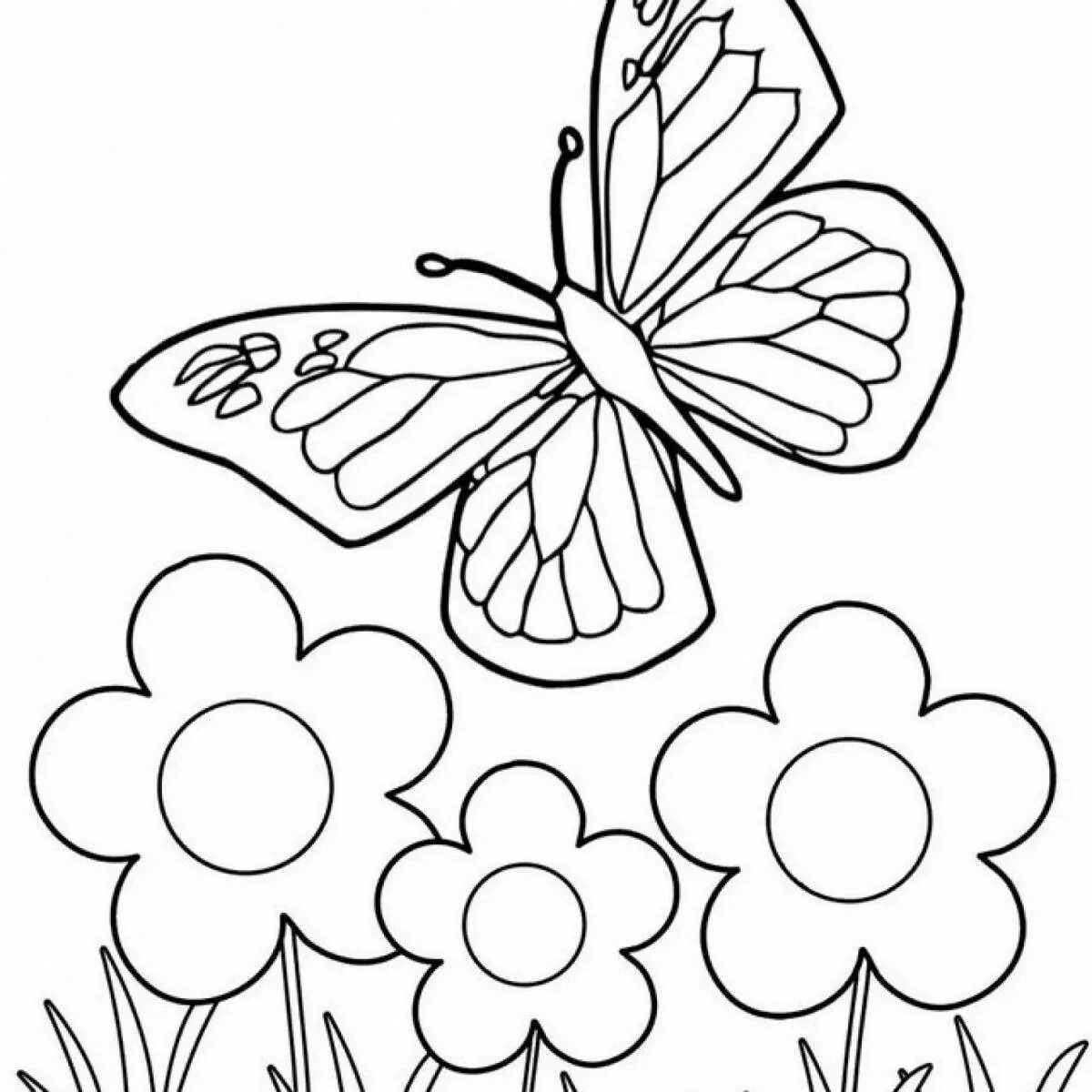 Раскраска "бабочки". Бабочка раскраска для детей. Бабочка на цветке раскраска для детей. Цветы. Раскраска. Бабочки раскраски для детей 5 6 лет