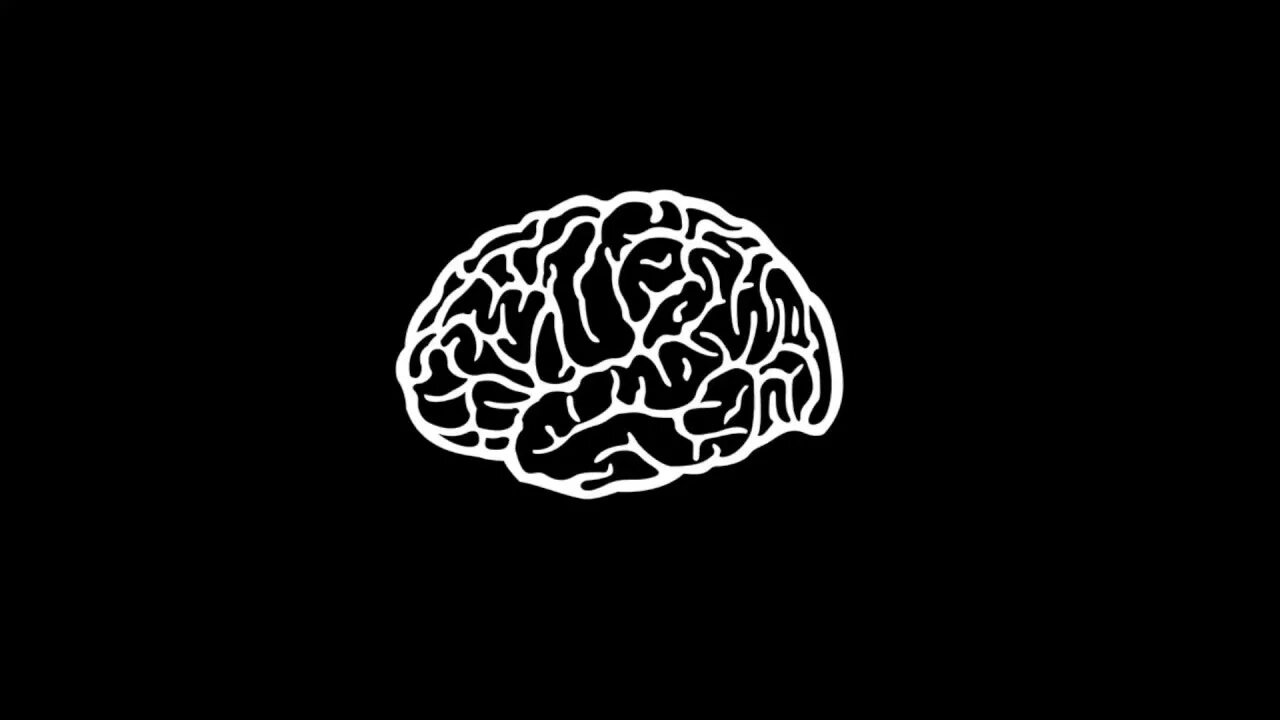 1 brain for 2. Мозг Минимализм. Мозг на черном фоне. Белый мозг на черном фоне. Мозг на темном фоне.