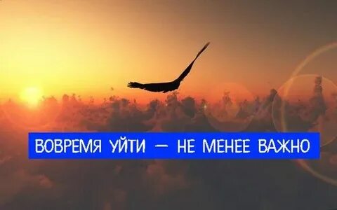 Уходите вовремя