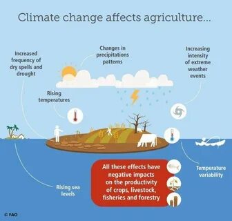 Climate change ответы