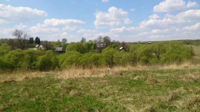 Деревня Похвиснево Тарусского района. Д Похвистнево Калужская область Тарусский район. Таруса деревня Сутормино. Калужская обл., дер. Похвиснево.