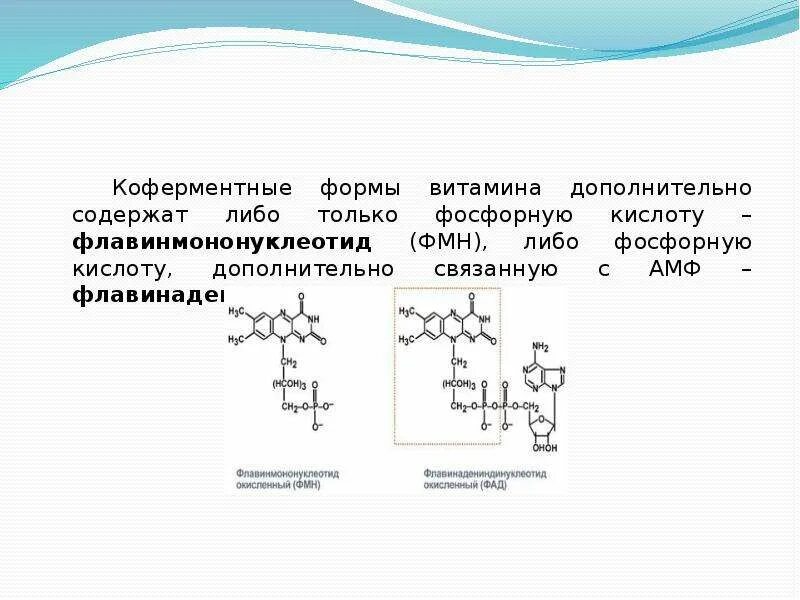 Коферментные формы витамина b3. Коферментная форма витамина в2 формула. Коферментные формы витамина рр. Коферментная форма витамина а биохимия. Коферментные функции витаминов