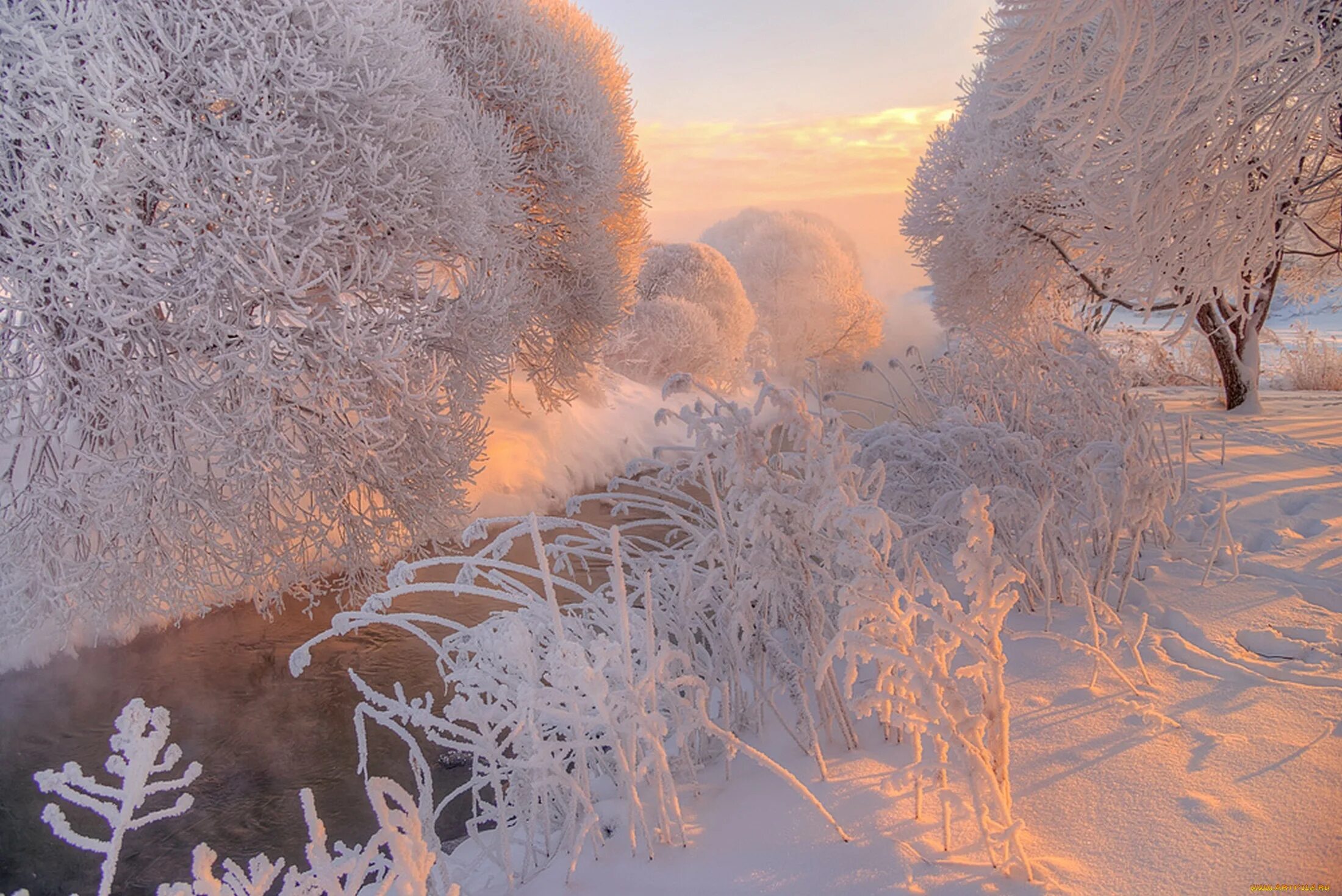 Где снег и мороз. Зимняя природа. Морозное утро. Морозное утро в лесу. Морозный пейзаж.