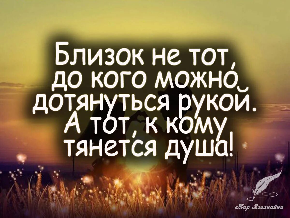 Как сказать про душу. Цитаты со смыслом. Цитаты про близких людей. Цитаты про родных и близких людей. Душевные высказывания.