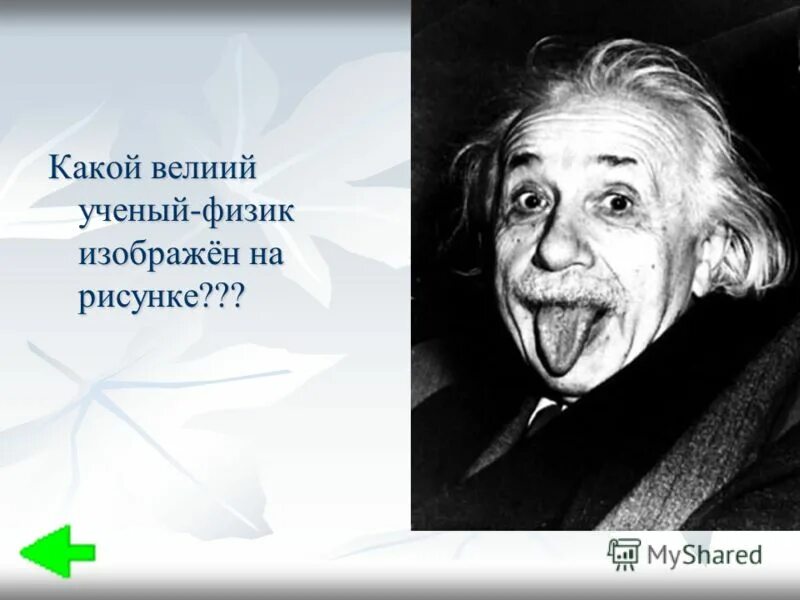 Лабрадор ретривер рост в холке. Туринский древнеегипетский папирус. Древнеегипетская живопись папирус британский музей. На рисунке изображены ученый и его собака. Какой ученый.