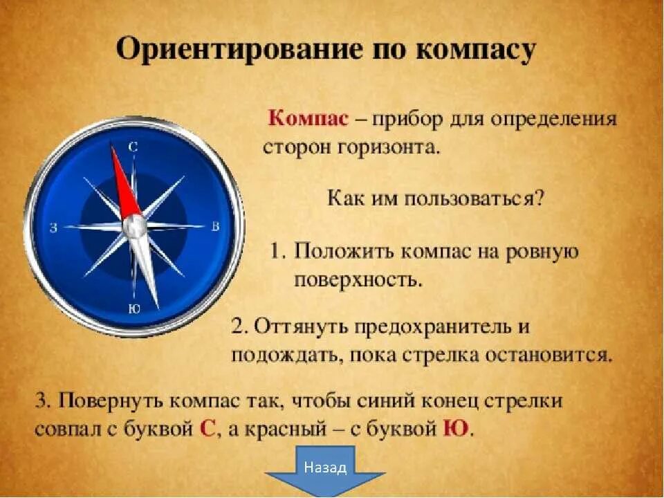 Последовательность действий с компасом. Ориентированиемпо компасу. Как пользоваться капйом. Как пользоваться компасрв. АВК прльзоваться Клмпасом.