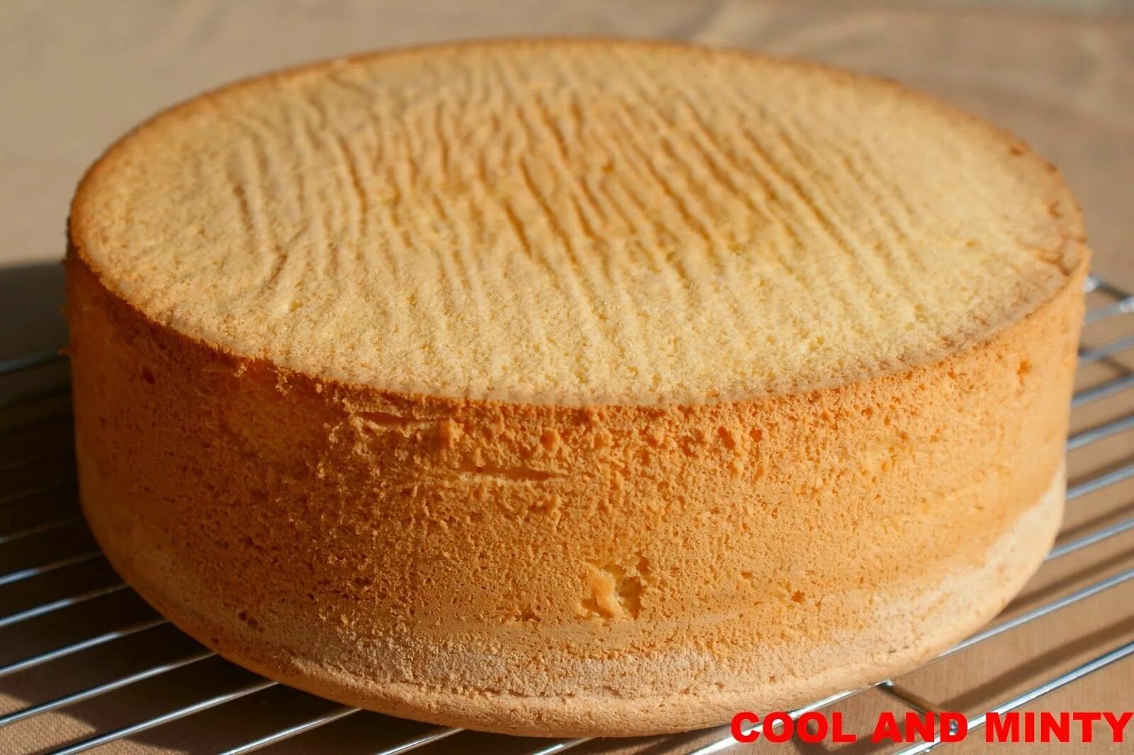 Бисквит на форму 26. Классический бисквитный торт. Классический бисквит пышный. Бисквит для торта пышный. Бисквит для торта диаметр 26 см.