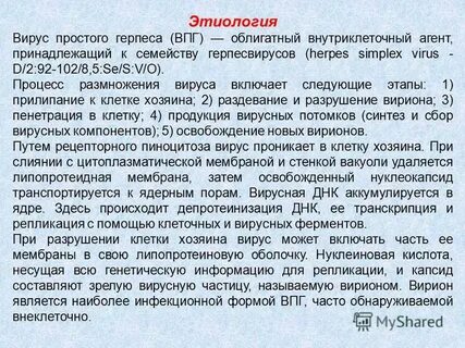 Характеристика герпесвирусов