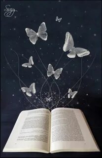 Раскрытая книга бабочки