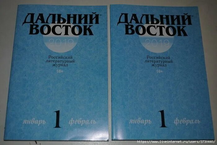 Сайт журнал восток. Журнал Дальний Восток. Литературные журналы дальнего Востока. Журнал Дальний Восток фото. Журнал Дальний Восток Хабаровск.