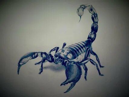 Скорпи