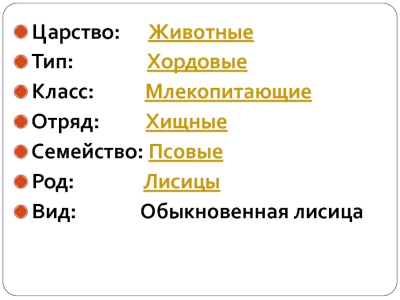 Животные царство тип класс отряд семейство. Вид лисица обыкновенная род семейство отряд класс Тип царство. Царство Тип класс вид животные. Тип класс отряд семейство род вид Хордовые. Царство животные Тип Хордовые отряд.