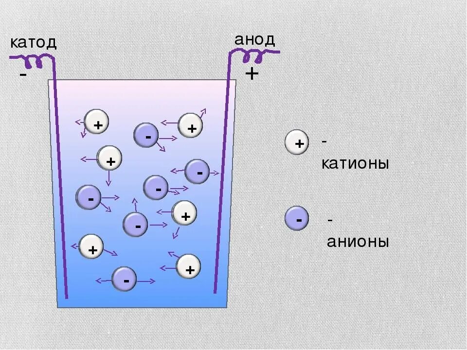 Как называются частицы которые движутся к аноду