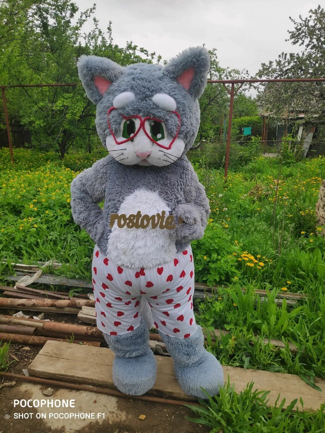 Кукла кот. Ростовые куклы кот. ростовая игрушка кот. ростовая кукла кот ученый. пушистый кот ростовая кукла.