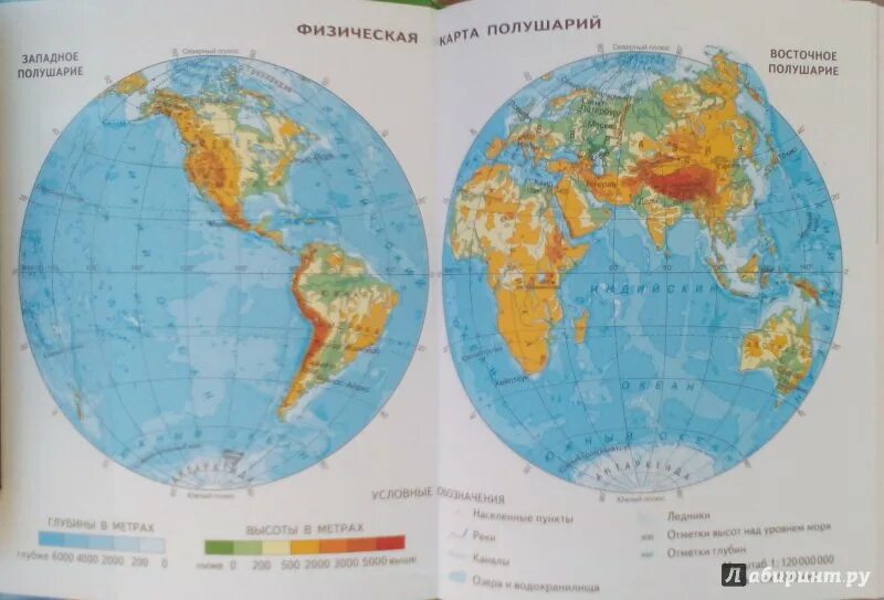 Великие равнины на карте полушарий. Физическая карта полушарий. Равнины на карте полушарий. Равнины на физической карте полушарий. Западное и Восточное полушарие на карте.