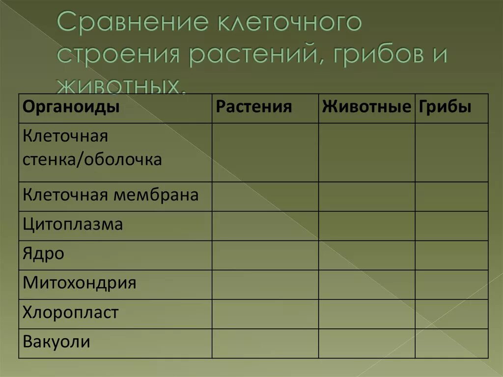 Сравнение бактерий грибов и растений