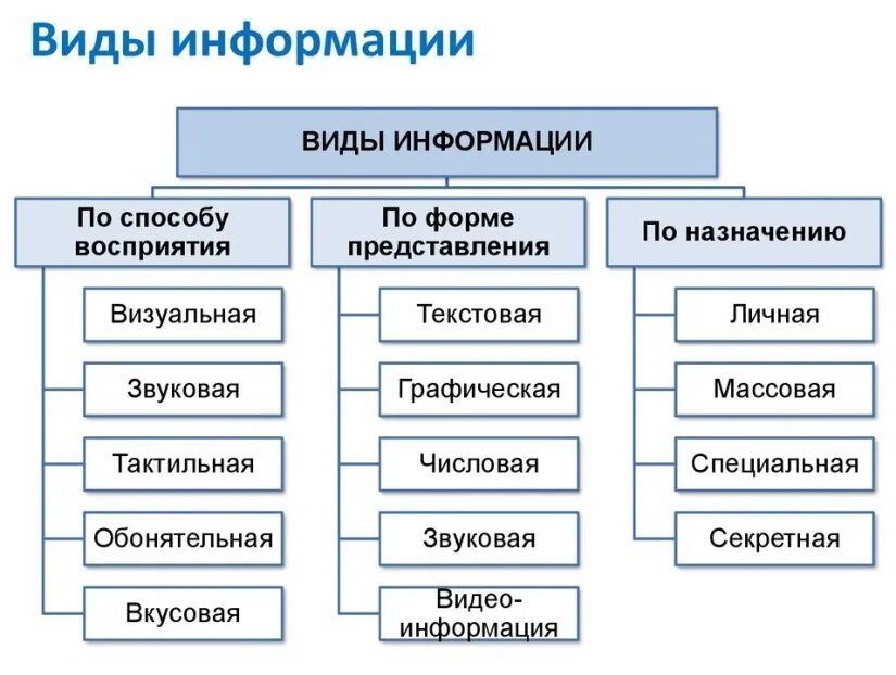 Формы представления бывают. Информация виды и свойства информации Информатика. Виды информации в информатике 10 класс. Какие есть виды информации. Перечислите основные виды и свойства информации..