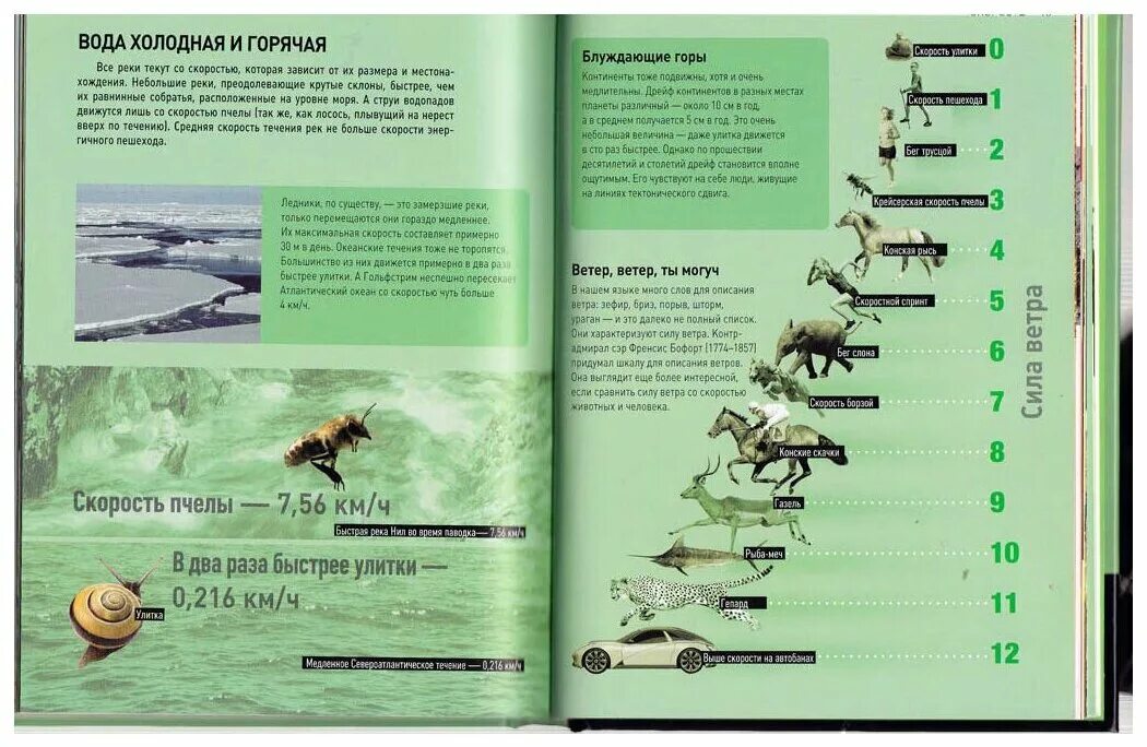 Максимальная скорость животных таблица. Максимальная скорость животных км/ч. Скорость животных. Скорость животных. Скорость животных.