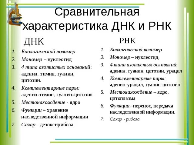 Сравнительная характеристика ДНК И РНК. Сравнительная характеристика ДНК И РНК свойство функции. Характеристика ДНК И РНК. Свойства ДНК И РНК.