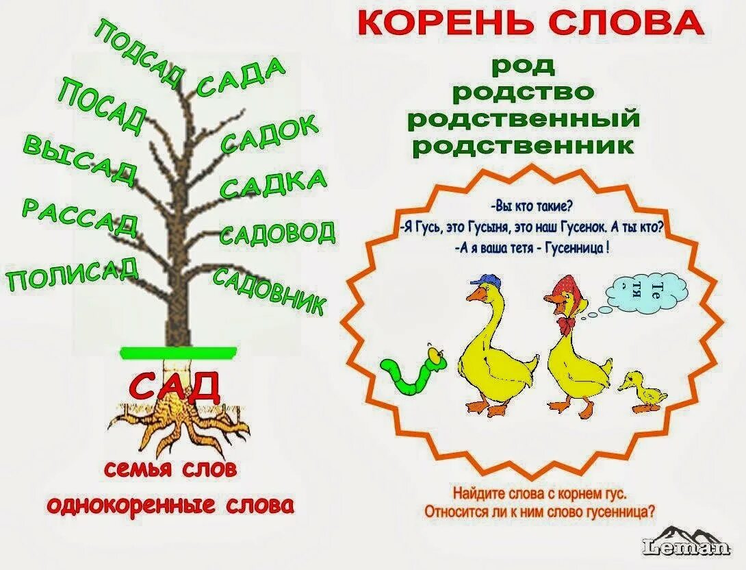 Какой корень в слове образованы. Корень слова. Корень слова слова. Родственные слова корень слова. Родственные слова картинки.