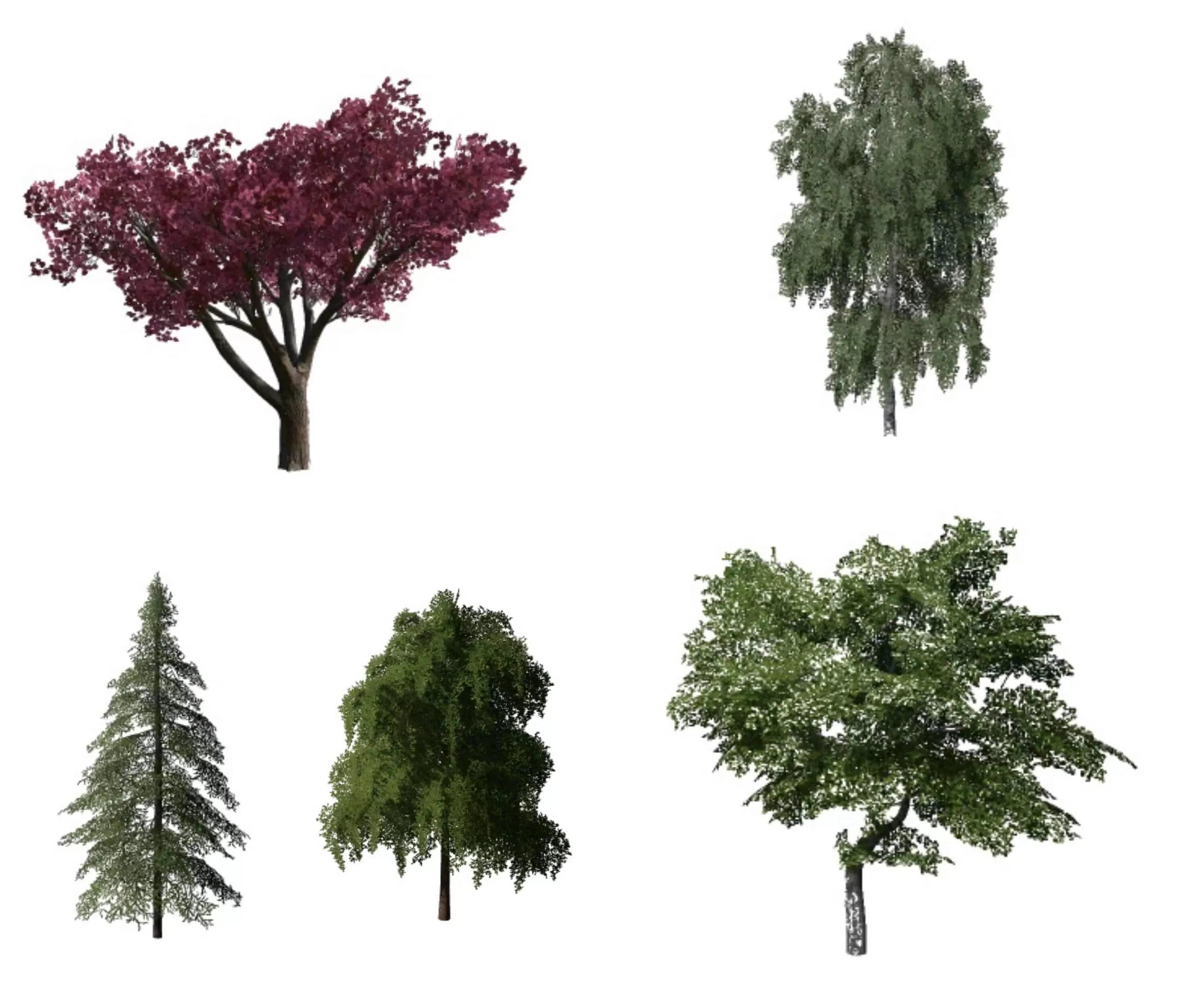 Trees v1.0 fs19. Деревья для ФС 19. Trees Mod fs22. Деревья для ФС 22.