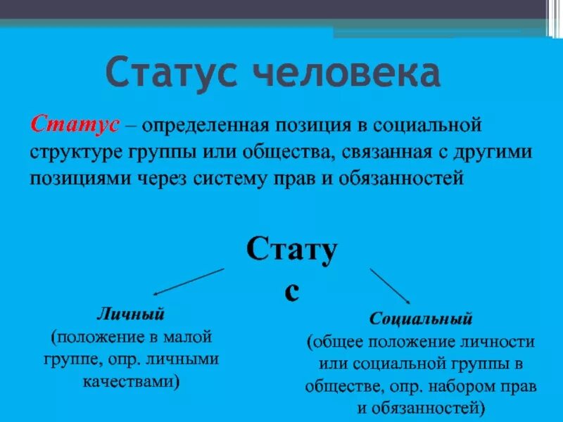 Социальный статус определенная позиция в социальной структуре. Статусные позиции в малой группе. Система статусов в группе. Социальная роль статус позици.