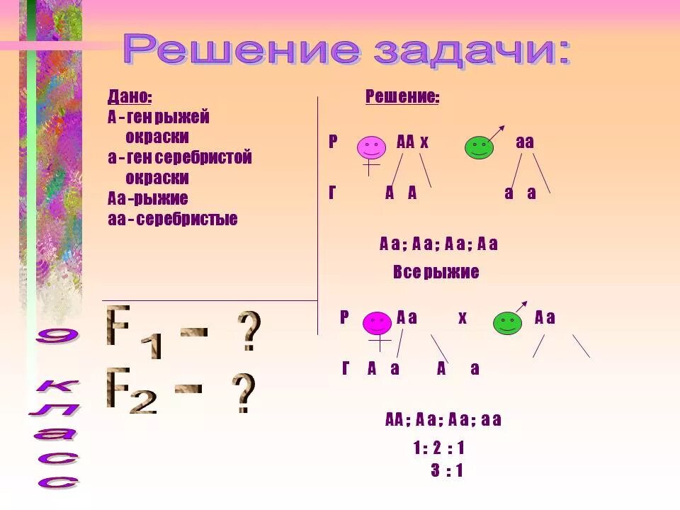 Генотип запись. Задачи по генетике 9 класс биология. Решение генетических задач по биологии 9 класс пример. Как решать задачи по биологии на генетику 9 класс. Схема решения генетических задач по биологии.