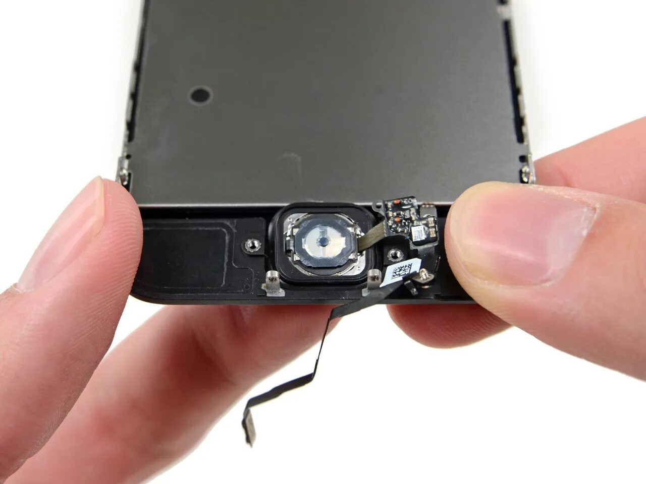 Кнопка тач айди. Экран iphone 5 se. кнопка хоум 5se. iphone 5s кнопка home. тач айди на айфон 5s.