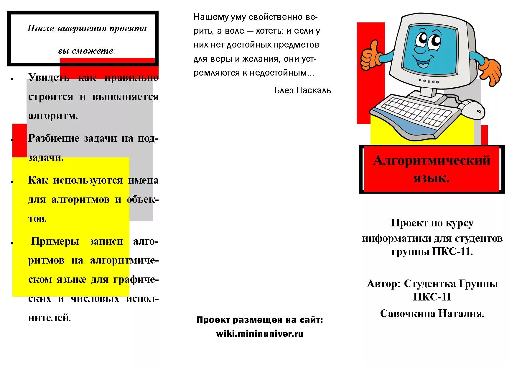 Темы для проекта по информатике 9. Буклет по информатике. Буклет про информатику. Листовка по информатике. Темы для буклетов по информатике.