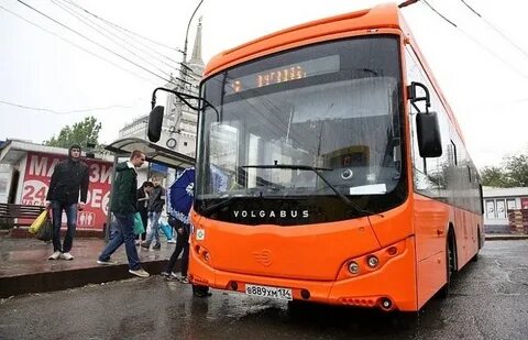 Дачные автобусы 2024 год волгоград