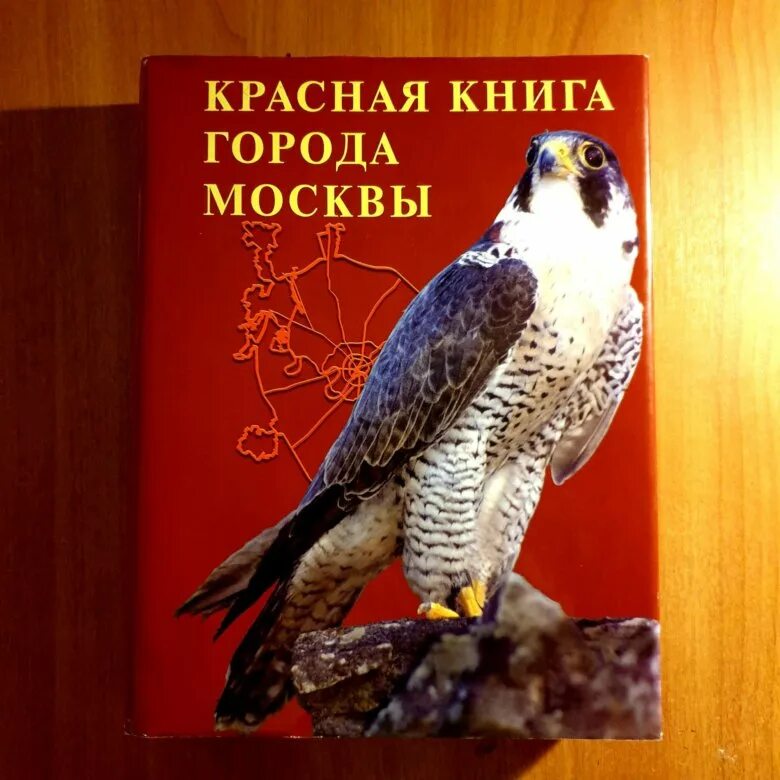 Книга москве 2019
