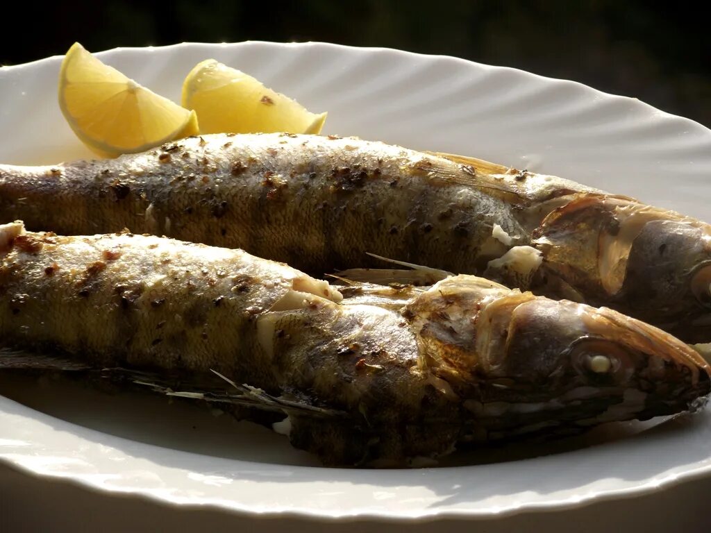 Судак вкусно. Судак в духовке. судак запеченный в духовке. судак в духовке фото. судак запеченный фото.