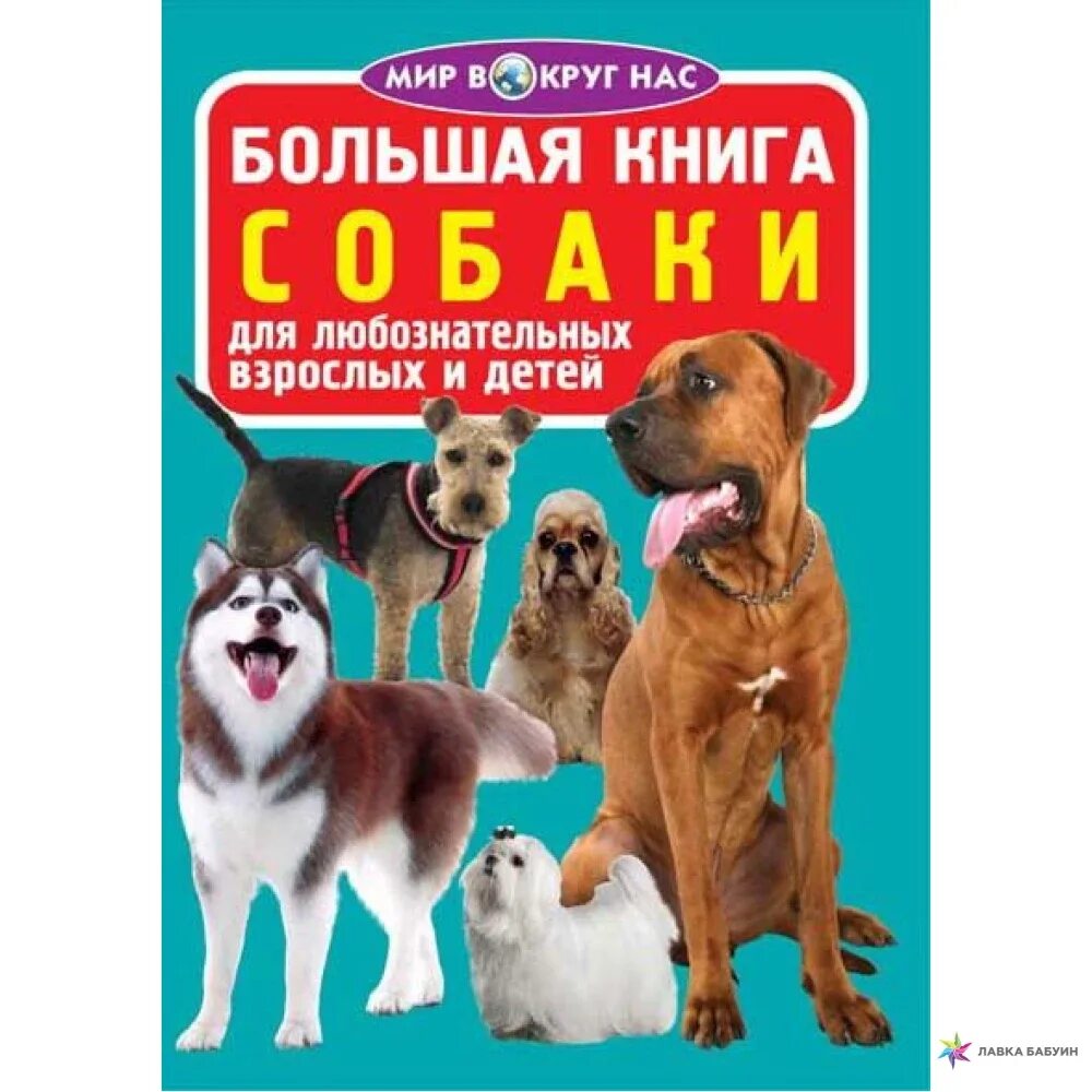 Книги о собаках отзывы. Книги о собаках для детей. Собака с книжкой. Большая книга про собак книга. Детская книга про собаку.