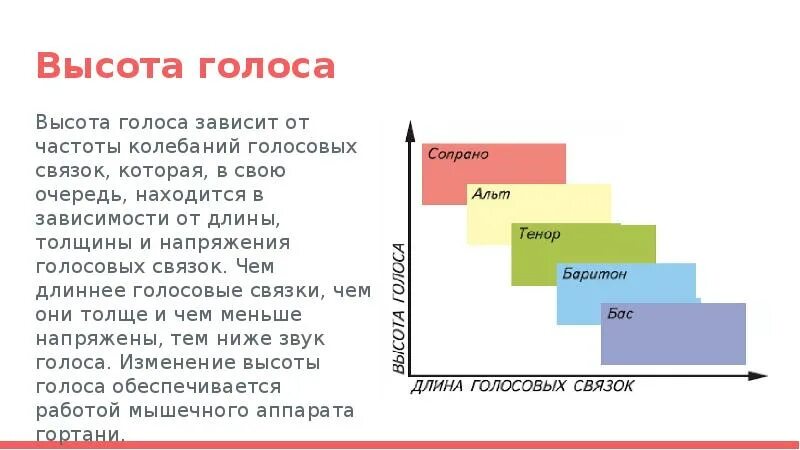 Покажи какой голос. Высота голоса. Высота голоса зависит от. Тембры женских голосов. Высота голоса механизм.