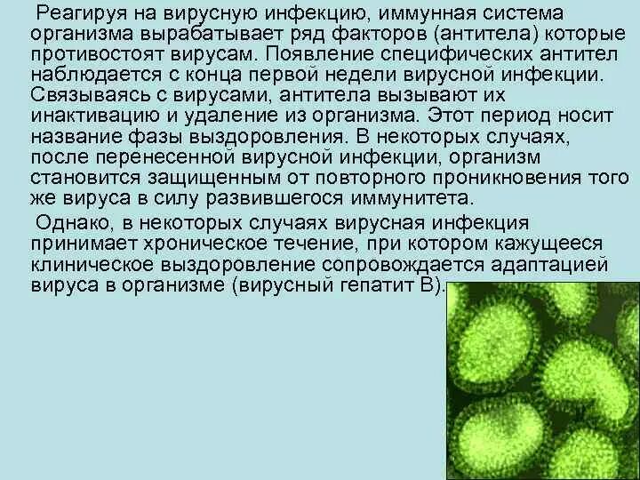 Организм после вируса. Вирусные инфекции иммунной системы. Вирус от латинского virus. Организм защищается от вирусов. Адаптация вирусов.