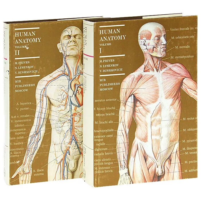 Анатомия и физиология человека. Анатомия человека учебник. Элементарная анатомия человека. Анатомия человека книга. Анатомия человека пособия