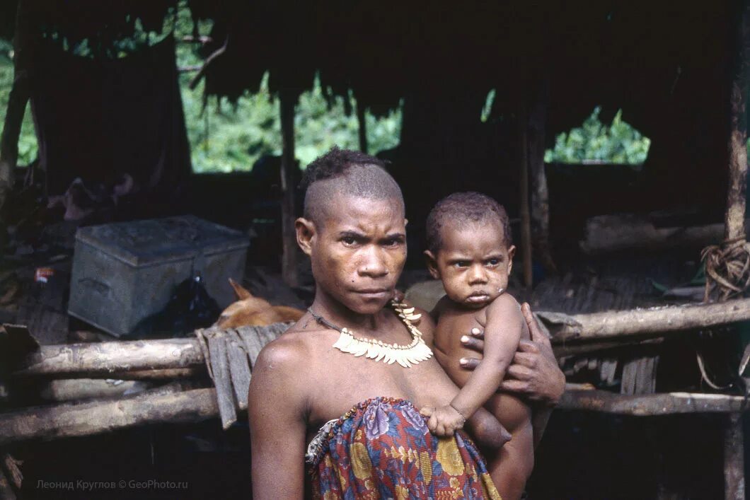 Племя короваи. Племя обитало. Новая гвинея. Племя ваорани амазонка. Племя короваи из новой гвинеи.