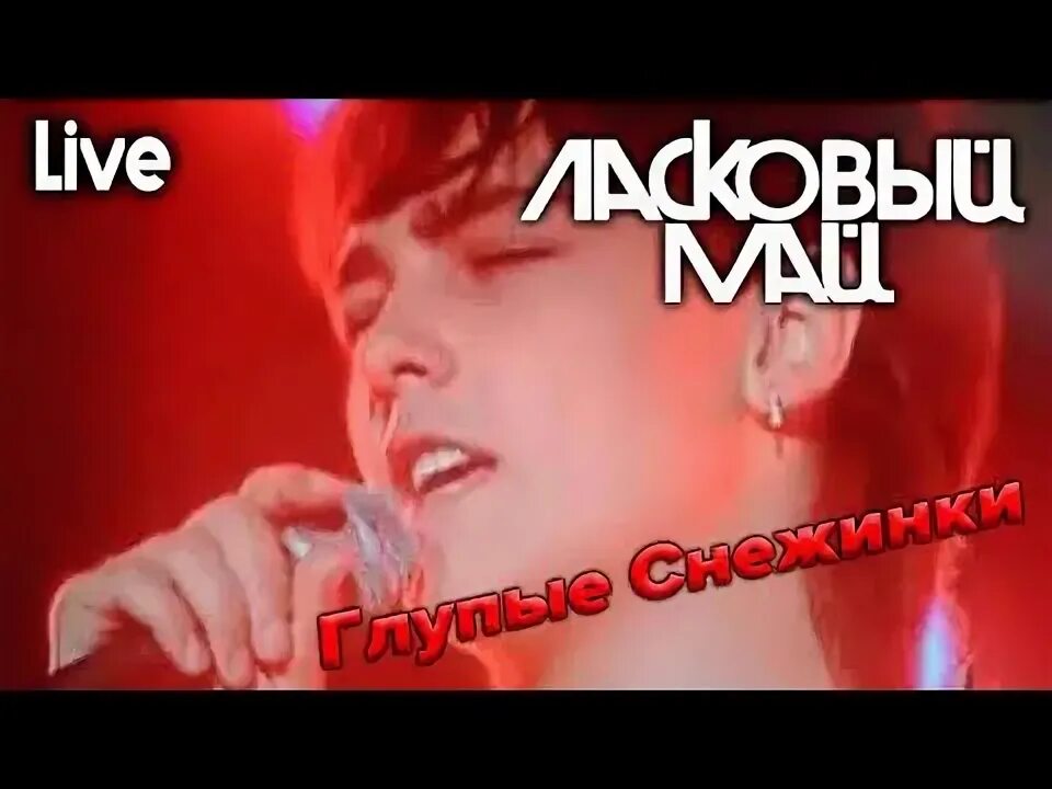 Глупые снежинки. Ласковый май белые розы белой зимой 1991. Ласковый май снежинки слушать. Ласковый май снежинки слушать. Глупые снежинки шатунов.